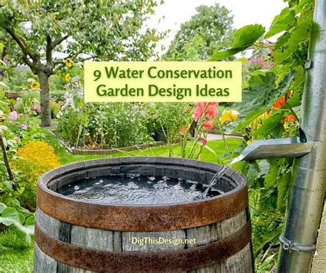 Water conservation garden - The Water Conservation Program supports city water customers to use water more efficiently, eliminate leaks, reduce water costs and support sustainability. Jump To. ... If you've already purchased a water wise garden this year, plant early in the morning or evening in May. Incorporate water wise plants and turf when planning landscape ...